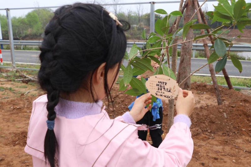 江西理工大学志愿者与洋江村童心港湾儿童共植“希望树”